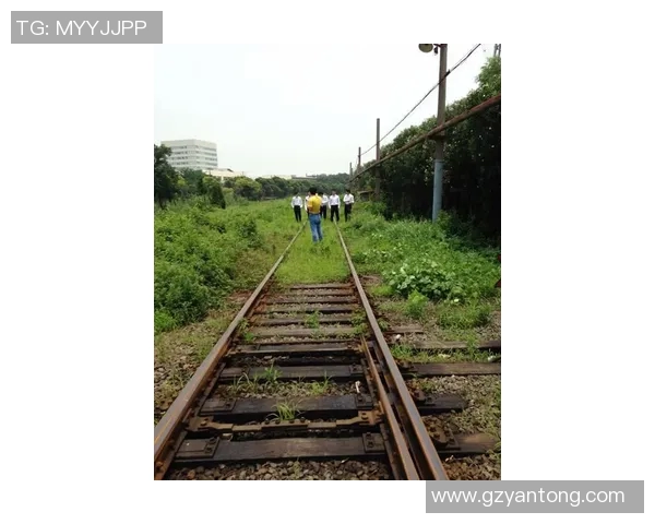 DOTA2灵活性实力榜单权威发布揭示顶尖选手新动态与战术趋势