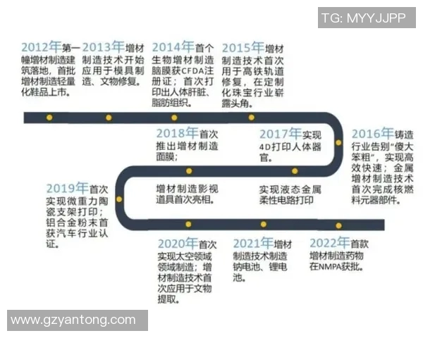 武汉攀岩队快攻战术分析与反思：得失之间的启示与展望